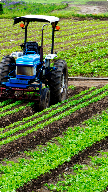 Agriculture