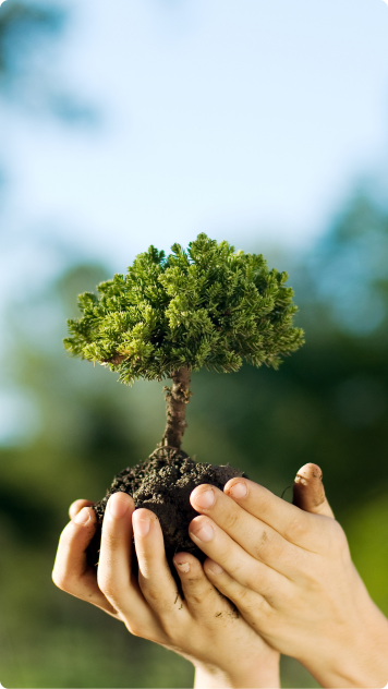 Agriculture